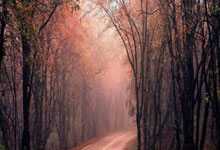 纳因戈兰：我在街头长大没有父亲 罗马是唯一理解我的球队.