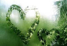 张之臻0-2不敌卢布列夫 止步ATP500鹿特丹站首轮.