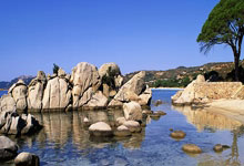 [德甲]第2轮：斯图加特VS美因茨.